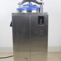 智能全自动消毒锅自动立式压力蒸汽灭菌器DGL-100B
