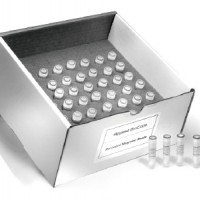 蛋白/抗体偶联试剂盒