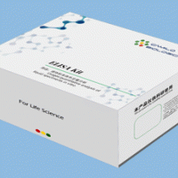 鱼硫酸乙酰肝素(HS)ELISA 检测试剂盒