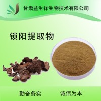 锁阳生物碱 沙漠 锁阳提取物