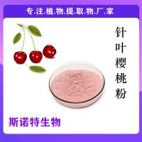 针叶樱桃粉 VC17% 针叶樱桃果粉 厂家直发
