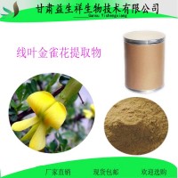 线叶金雀花提取物    新资源食品    量大从优