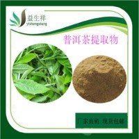 普洱茶粉  水溶性普洱茶粉 含运费 量大从优