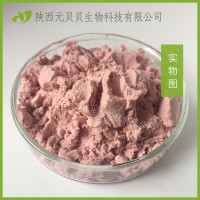 樱桃汁粉壹贝子SC实力工厂现货供应批发樱桃提取物樱桃粉