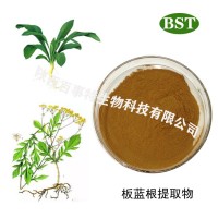 板蓝根提取物，现货供应，厂家直销