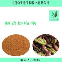 蕨菜提取物 蕨菜粉 一公斤起订
