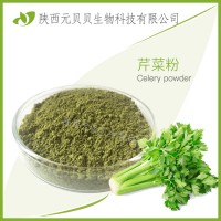 芹菜汁粉西芹粉实力工厂原料批发现货免费拿样芹菜提取物芹菜粉