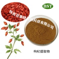 枸杞提取物，现货供应，厂家直销