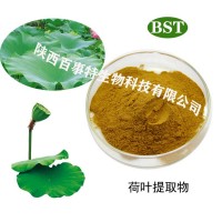 荷叶碱提取物，现货供应，厂家直销