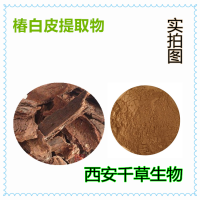 椿白皮提取物 椿白皮浓缩粉 椿白皮浸膏粉