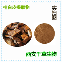 榆白皮提取物 榆白皮浓缩粉 榆白皮浸膏粉厂家生产