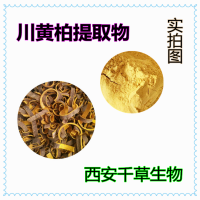 川黄柏提取物 厂家定制植物提取物粉 定做流浸膏