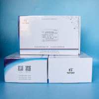 标准菌株鉴定试剂盒  供应
