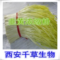 韭黄提取物 韭黄浓缩汁粉 厂家生产植物提取物 定做流浸膏