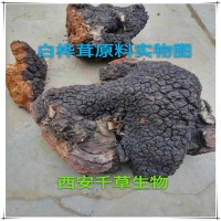 桦褐孔菌精粉桦褐孔菌天然浓缩粉厂家生产桦树茸提取物