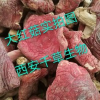 大红菇提取物 厂家生产菇类菌类浓缩流浸膏易溶颗粒