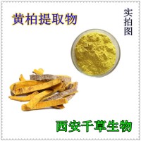 黄柏提取物 厂家定制黄柏粉 定做浓缩流浸膏
