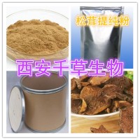 松茸提取物 松茸浓缩粉 厂家生产提取物 定做流浸膏