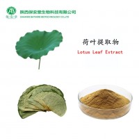 现货供应荷叶提取物荷叶碱荷叶粉2%HPLC可定制