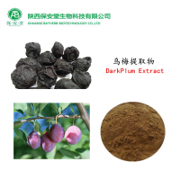 现货供应乌梅提取物乌梅粉10:1