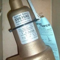 斯派莎克SV61E青铜蒸汽安全阀，青铜蒸汽安全阀
