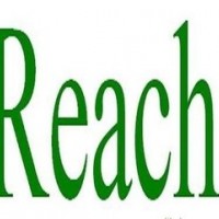 东莞REACH检测认证211项信准检测