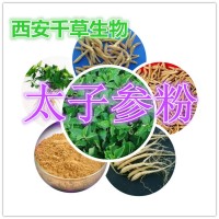太子参浓缩粉厂家生产植物提取物 定做太子参浸膏