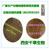 藕节浓缩粉  厂家生产植物提取物定做浓缩浸膏