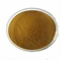 沙棘酵素粉