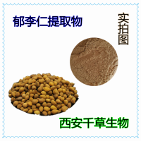 郁李仁提取物药食同源 厂家生产植物提取物定做郁李仁浓缩浸膏