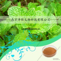薄荷提取物，SC认证厂家，代加工植物饮料