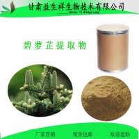 碧萝芷提取物  原花青素98%