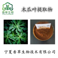 木瓜叶提取物黄酮速溶木瓜叶粉木瓜叶提取液浸膏