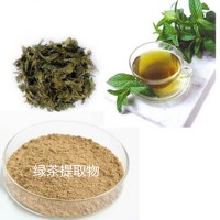 绿茶提取物绿茶粉绿茶速溶粉