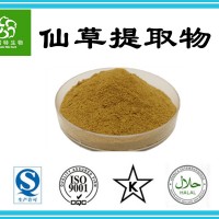 仙草提取物10:1 水溶仙草粉 仙草浓缩粉