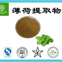 薄荷提取物20:1 水溶性薄荷粉 薄荷浓缩粉 厂家现货批发