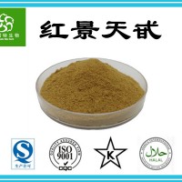 红景天甙3% 红景天苷 红景天提取物 高含量5% 1公斤起