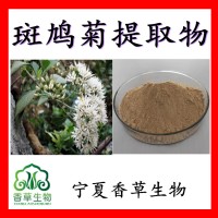 斑鸠菊提取物斑鸠菊速溶粉厂家斑鸠菊提取液