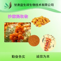 沙棘粉99%     沙棘果粉         固体饮料