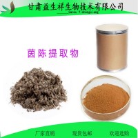 茵陈提取物 益生祥  量大从优