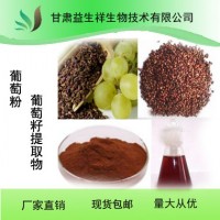 葡萄籽提取物     量大从优  一公斤起订