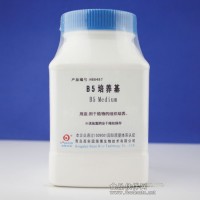 B5培养基