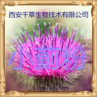 刺儿菜水溶粉厂家定制植物提取物 定做浓缩浸膏