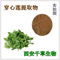 穿心莲浸膏粉 厂家生产植物提取物定做穿心莲流浸膏 穿心莲颗粒