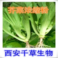 芥菜提取物芥菜浓缩汁粉 厂家生产植物提取物 定做浸膏