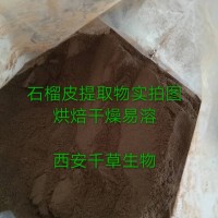 石榴皮浸膏粉易溶 厂家生产植物提取物 纯浸膏颗粒
