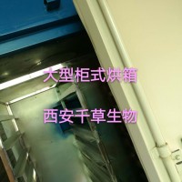 青青菜提取物 厂家生产植物提取物定做浓缩浸膏