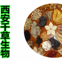 葵菜子提取物 厂家生产植物提取物葵菜子浓缩浸膏