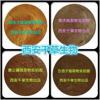荜澄茄提取物浓缩粉 厂家生产动植物提取物定做浓缩浸膏颗粒