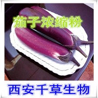 茄子浓缩粉 茄子提取物 厂家定制蔬菜浓缩汁粉 茄子浸膏